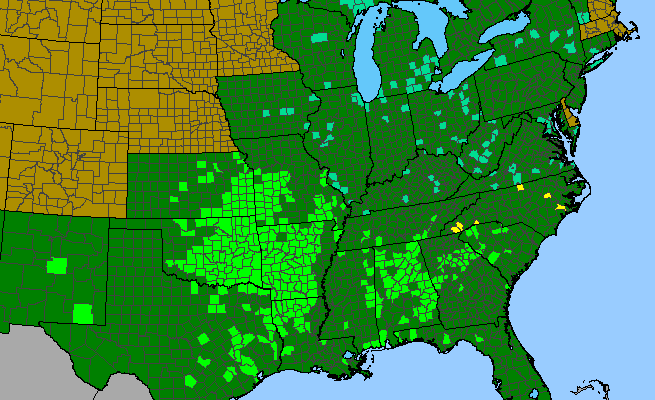 The range of Coreopsis grandiflora var. harveyana
